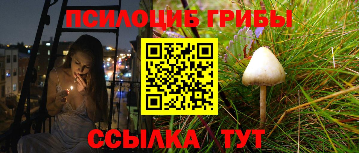 Галлюциногенные грибы GOLDEN TEACHER Чернушка