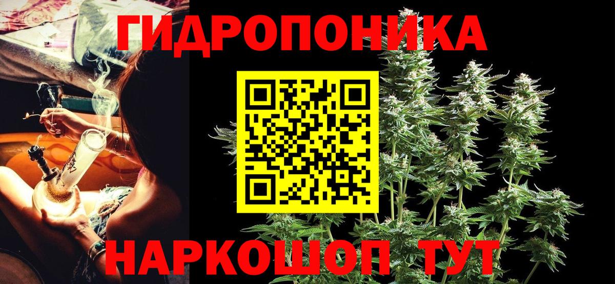 Бошки марихуана гибрид Чернушка